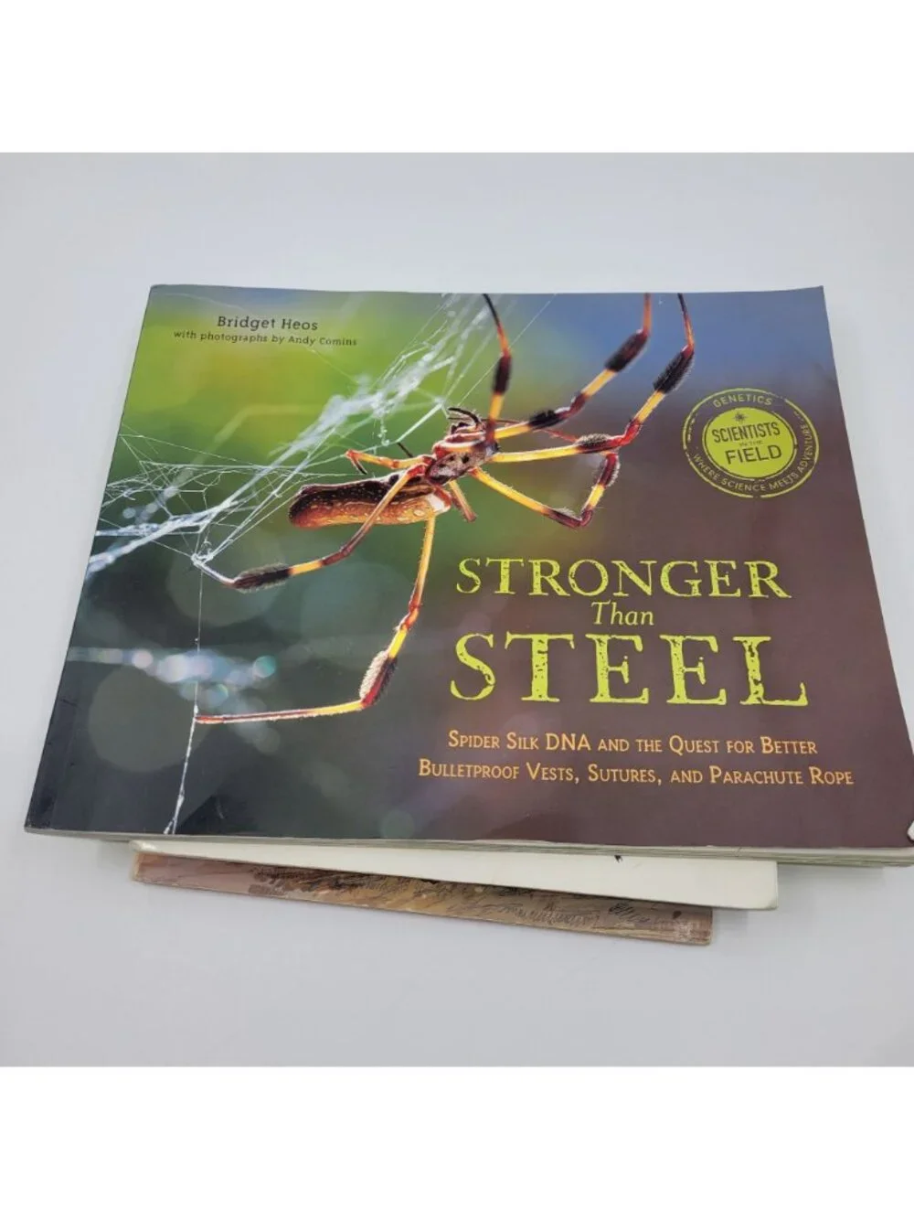 Children's Non-Fiction Book Lot - Nature, Spiders, Snakes - BK217